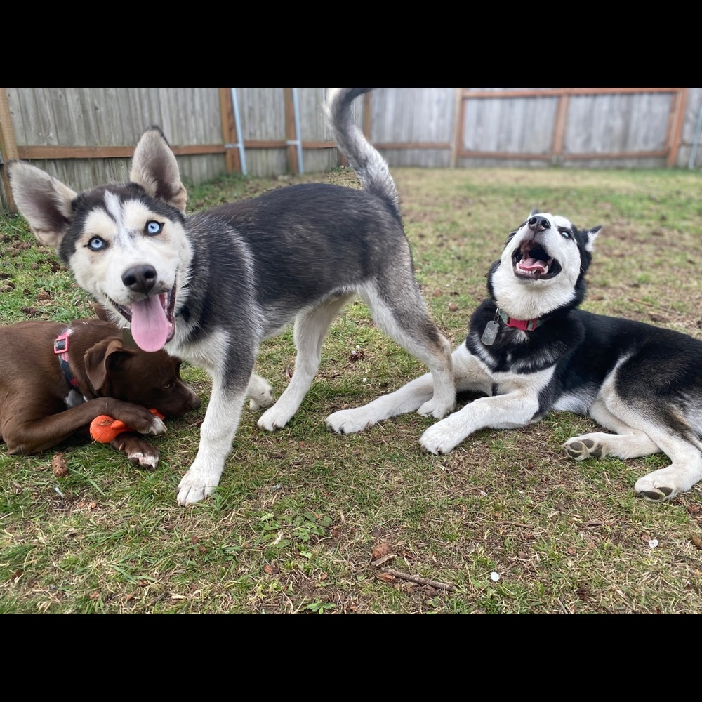 Meet your Posher, Rene